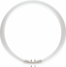 Лампа MASTER TL5 Circular 40W/830 1CT/10